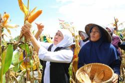 Peringati Hari Krida Pertanian, Gubernur Jatim: Bangkitkan Semangat Produktivitas