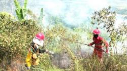 33 Titik Karhutla Landa 4 Kecamatan di Tanah Laut, Lebih Banyak dari Tahun 2022