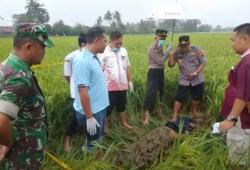 Kronologi Penemuan Mayat Gadis Korban Pembunuhan di Cilacap, Disangka Ular Besar