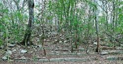 Kota Maya Kuno Berisi Piramida Setinggi 50 Kaki Ada di Dalam Hutan, Dianggap sebagai Pusat Utama