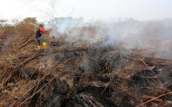 Kebakaran Lahan di Nagan Raya Aceh Capai 23,5 Hektare, Titik Terbaru di Kuala Pesisir<