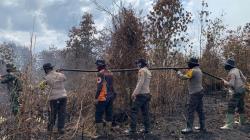 Karhutla di Cagar Biosfer Riau, 10 Hektare Lahan Terbakar