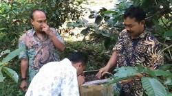 Unik, Tempat Wisata di Pekalongan Tawarkan Sensasi Isap Madu Langsung dari Sarang<