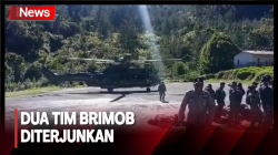 Dua Tim Brimob Polres Jayawijaya Diterjunkan Bantu Evakuasi Korban Pesawat SAM Air 