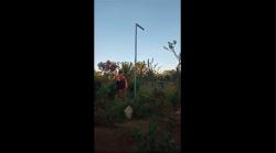 Viral Tiang Lampu Kuburan di Bondowoso Gerak Sendiri, Warga Gempar