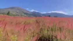 Bukit Tegal Malaka Garut, Pesona Padang Savana Manjakan Pecinta Alam<