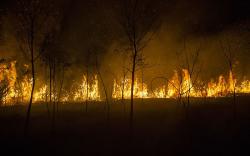 Upaya Pemadaman Kebakaran Lahan di Kalsel hingga Malam Hari