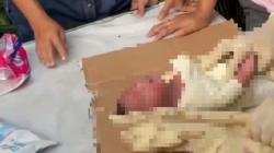 Geger Bayi Perempuan Baru Lahir Ditemukan dalam Kardus di Pinang Tangerang