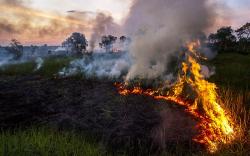 Kapolda Kalsel Tegas Bakal Tetapkan Tersangka jika Temukan Bukti Perusahaan Biarkan Karhutla<