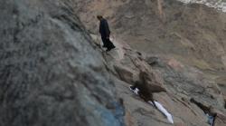 Bandel! Monyet Curi Pakaian Jemaah Haji di Gunung Jabal al-Nour dekat Makkah