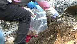  6 Kuburan Bayi Hasil Inses Ayah dan Anak di Banyumas Ditemukan, 1 Masih Dicari