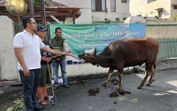Indofood Salurkan Bantuan Hewan Kurban Idul Adha 2023