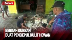Pengepul Kulit Hewan di Bojonegoro Kecipratan Rezeki di Hari Raya Iduladha