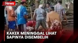 Lihat Hewan Peliharaannya Disembelih, Kakek di Jember Meninggal