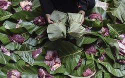 Ponpes Laskar Langit Gunakan Daun Jati Bungkus Daging Kurban