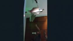 Gempa Bantul DIY M6,4, Atap Gedung hingga Tembok Rumah Warga Ambruk