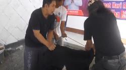 DPW Partai Perindo Jatim Kurban 3 Ekor Kambing untuk Warga