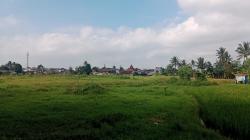 Alih Fugsi Lahan, Persawahan di Cicurug Sukabumi Terus Berkurang