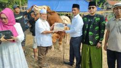 Terima Sapi Kurban 1,6 Ton dari Bacaleg Partai Perindo Banten, Lurah Ini Awalnya Tak Percaya