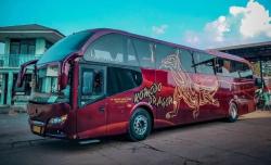 Intip Kemewahan Bus PO Sant Gold Bergambar Komodo, Pemain Baru Rute Jakarta-Yogya