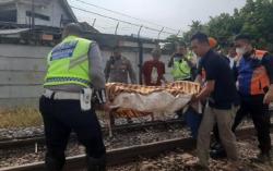 Pria Lansia Tewas Tertabrak KA Babaranjang di Bandarlampung