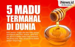 Infografis 5 Madu Termahal di Dunia