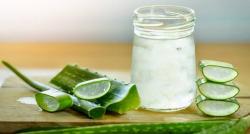Tren Perawatan Kulit dengan Aloe Vera ala Korea, Kenali Manfaatnya