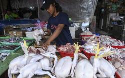 Inflasi Juni 0,14 Persen, Penyumbang Terbesar Daging Ayam Ras