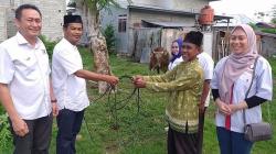 Bacaleg Partai Perindo Palu Berkurban Sapi, Daging Kurban Dibagikan ke Masyarakat Taipa