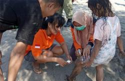 Ubur-Ubur Bermunculan di Pantai Parangtritis, Ratusan Wisatawan jadi Korban Sengatan