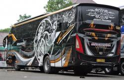 PO MTI Sukses di Jalur Pekalongan, Ini Daerah Lain yang Diincar Rian Mahendra