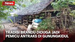 Tradisi Brandu Diduga Jadi Pemicu Menyebarnya Antraks di Gunungkidul, Apa Itu?