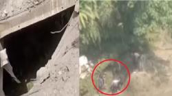 Jembatan Berlubang di Langkat Makan Korban, Ibu dan Anak Jatuh ke Sungai saat Melintas