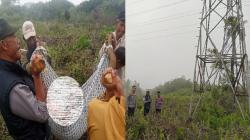 Panjat Tower SUTET demi Konten Medsos, Pemuda Garut Gosong Tersengat Listrik