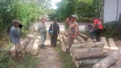Warga Sukabumi Tebang Puluhan Pohon di Lahan Pemkab, Ngaku yang Tanam dari Tahun 1996 