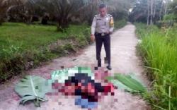 Kuansing Gempar, Pria Tewas Bersimbah Darah Diduga Korban Pembunuhan