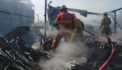 Gudang Toko Material di Ciomas Bogor Terbakar, Diduga akibat Korsleting Listrik
