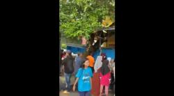  Cilacap Gempar, Ibu dan Anak Ditemukan Tewas Diduga Bunuh Diri Minum Potasium