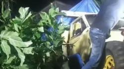 Kecelakaan Truk Angkut 13 Buruh Tani Terguling di Banjarnegara, 2 Orang Tewas