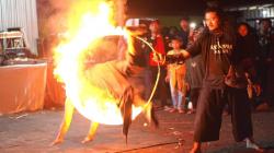Festival Bola Api dan Budaya Ganjar Muda Pukau Warga Tarogong Kaler Garut <