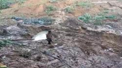 Tebing 100 Meter di Sukanagara Garut Longsor Timbun Persawahan, 1 Orang Hilang<