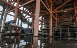 Shelter Tsunami di Pandeglang Terbengkalai, Fasilitas Rusak Tak Pernah Terpakai
