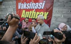 Gubernur Ganjar Pranowo Cek Penyaluran Vaksin Antraks di Jatemg