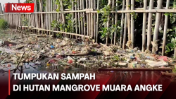 Tumpukan Sampah Berserakan, BRIN Sarankan Lokalisir Sampah Menuju Hutan Mangrove Muara Angke 