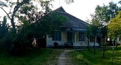 Kampung Unik di Jember, Singgah ke Permukiman yang Punya Pemandangan Desa Zaman Belanda