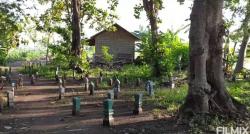 Kampung Unik di Jawa Tengah, Singgah ke Desa Jungsemi Hati-Hati Bisa Bikin Orang Tersesat!
