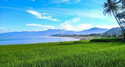 Mengenal Pantai Cantik di Jawa Barat, Suasananya seperti Ada di Bali