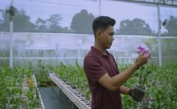 Pengusaha Muda Ini Mampu Raup Rp20 Juta per Bulan dari Jualan Bunga Anggrek