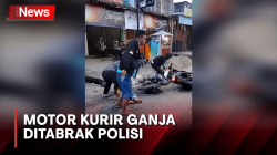 Motor Kurir Ganja Ditabrak Polisi saat Terlibat Kejar-kejaran di Mandailing Natal