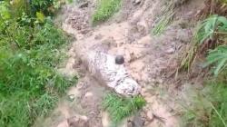 Sejumlah Jasad Keluar dari Kubur di Padang, Diduga gegara Tergerus Banjir<